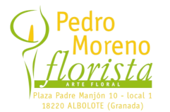 Pedro Moreno Florista